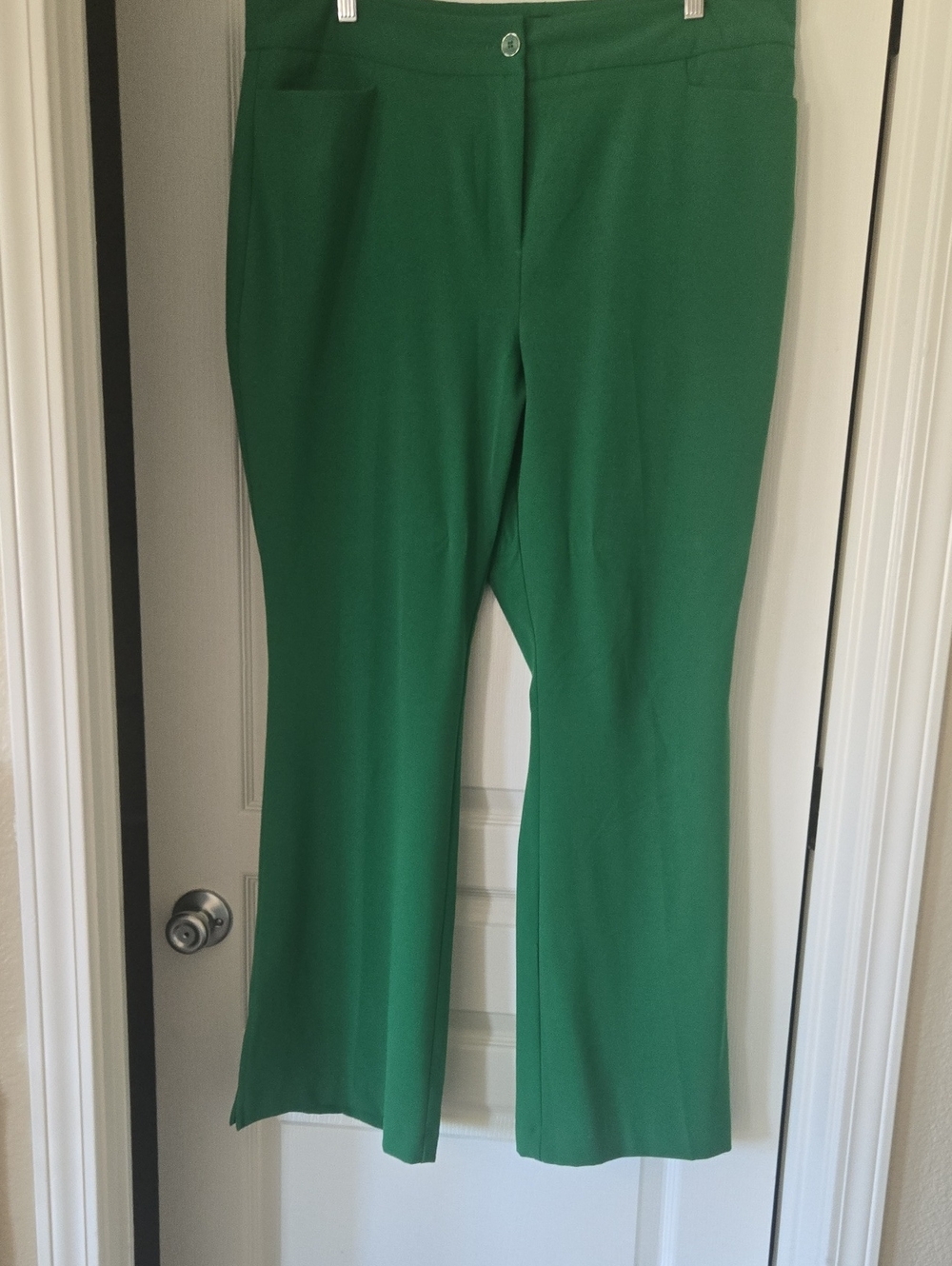 New York & Company Green Boot-Cut Pants